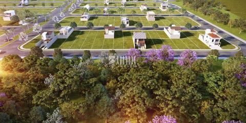 Imagem do lançamento